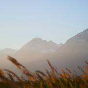 adam-hornyak-t_jSrDW5xPw-unsplash